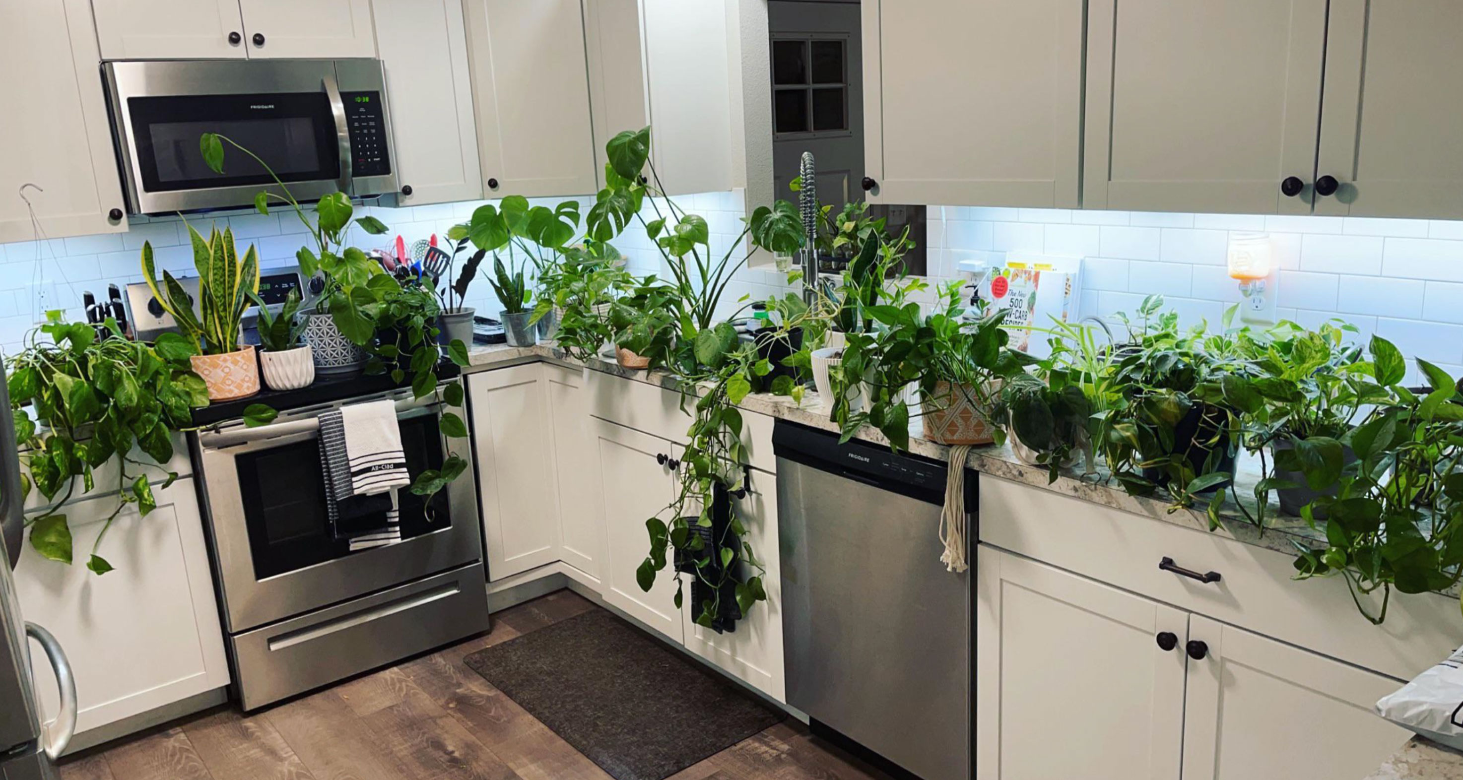 how to water houseplants properly_95a37cb2 3ded 4015 ac1e 1be7bec40c73
