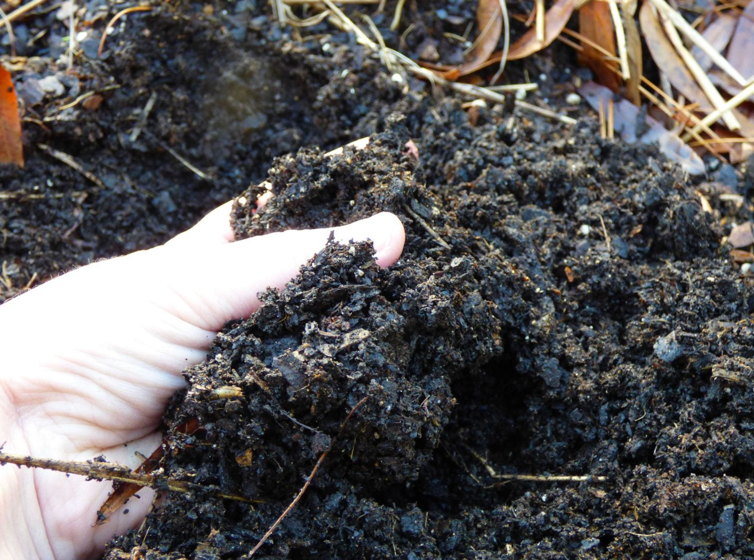 how to pick the best garden soil_0f2bdc02 f760 4460 8906 3e91b06c3529