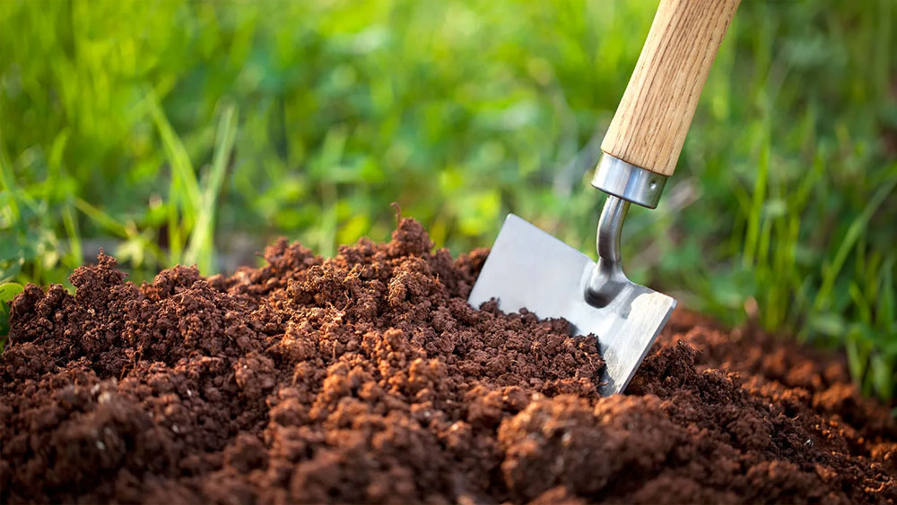 This Is How To Pick The Best Garden Soil