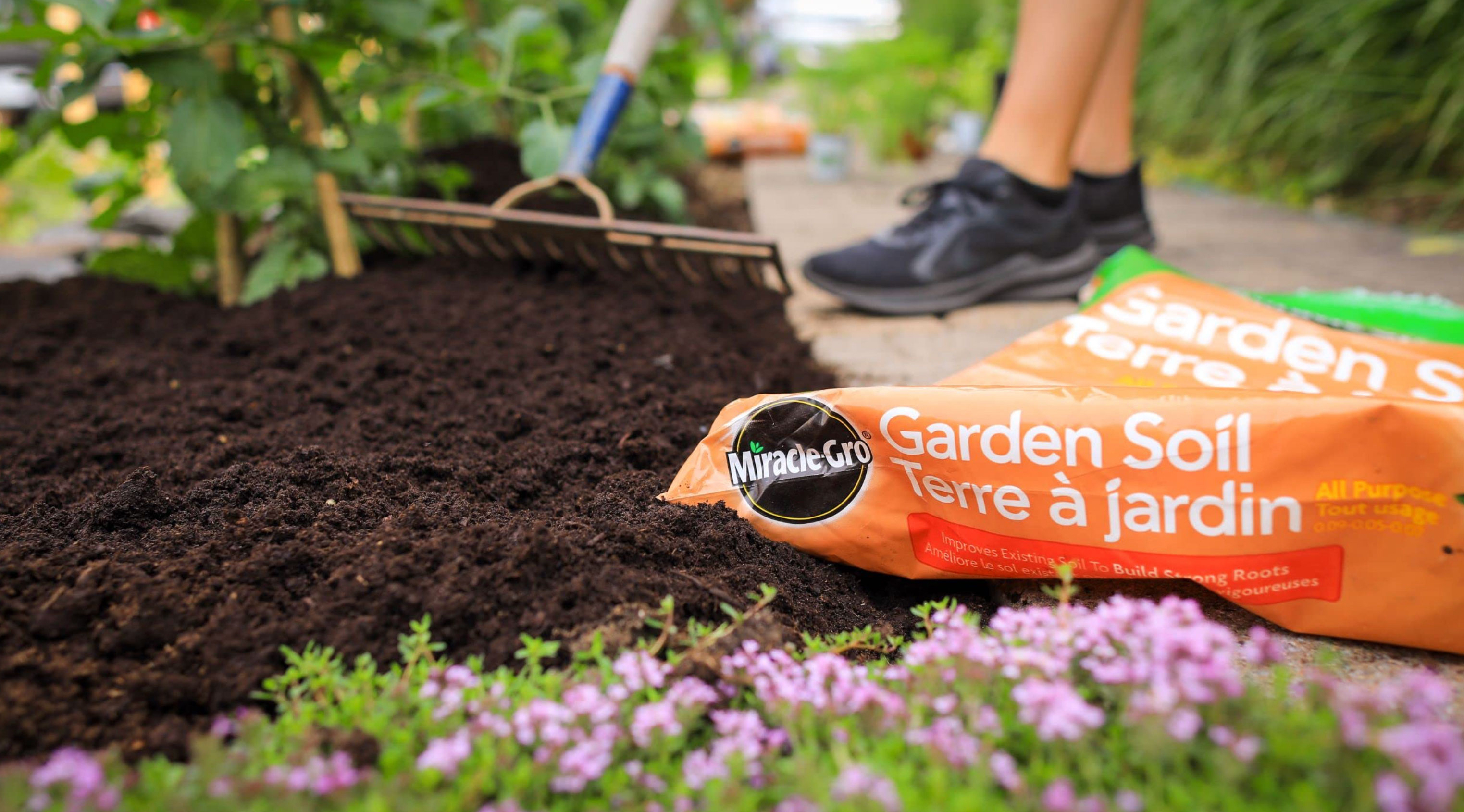 how to pick the best garden soil_693a502f 6872 4117 ba66 702369ac6ad8