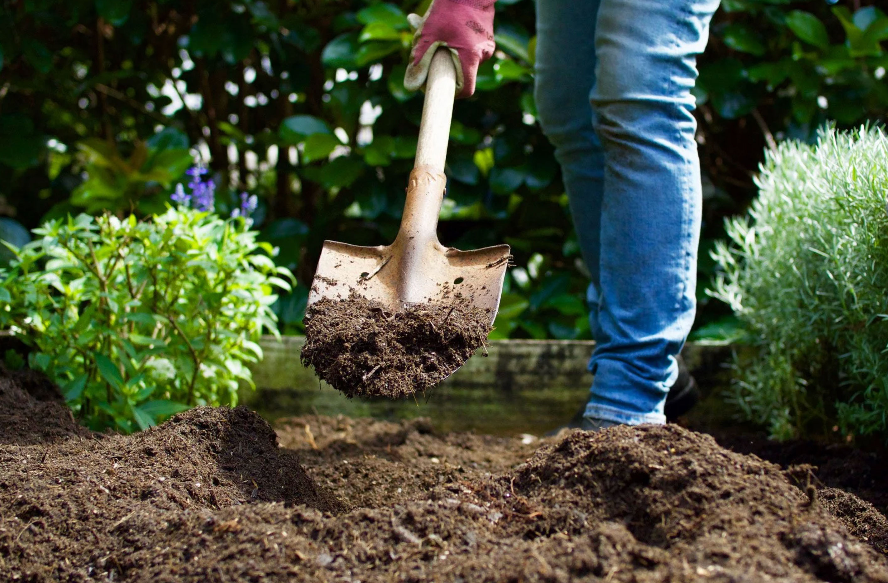 how to pick the best garden soil_a0b77a9d bded 455d 885e 3d3628bc887d