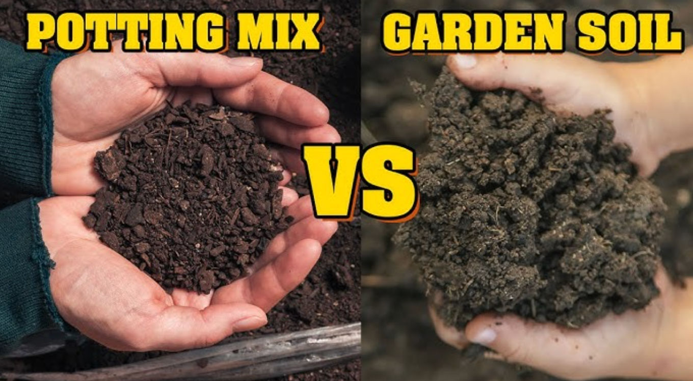 how to pick the best garden soil_a5a65a5c 3aa8 4684 a37d 7e343aa21f79