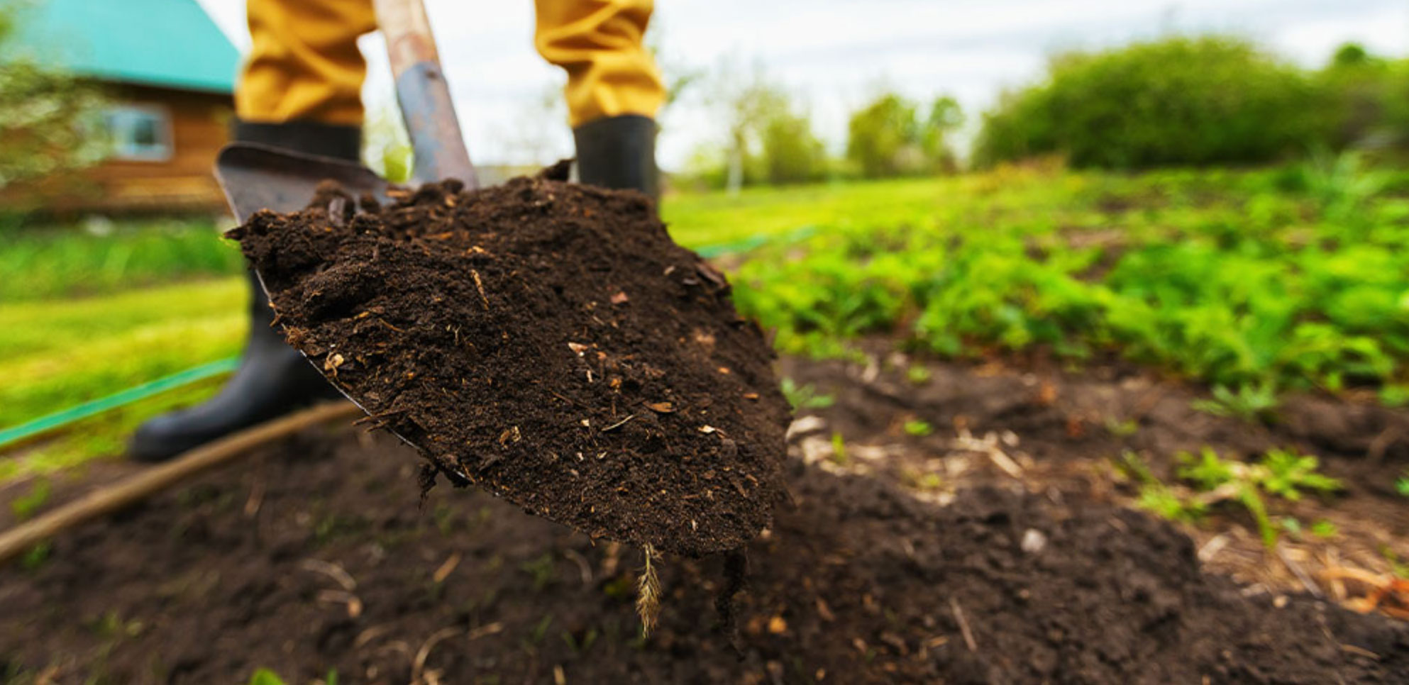 how to pick the best garden soil_f534a11a 72f0 4869 8c06 527d10e72b62