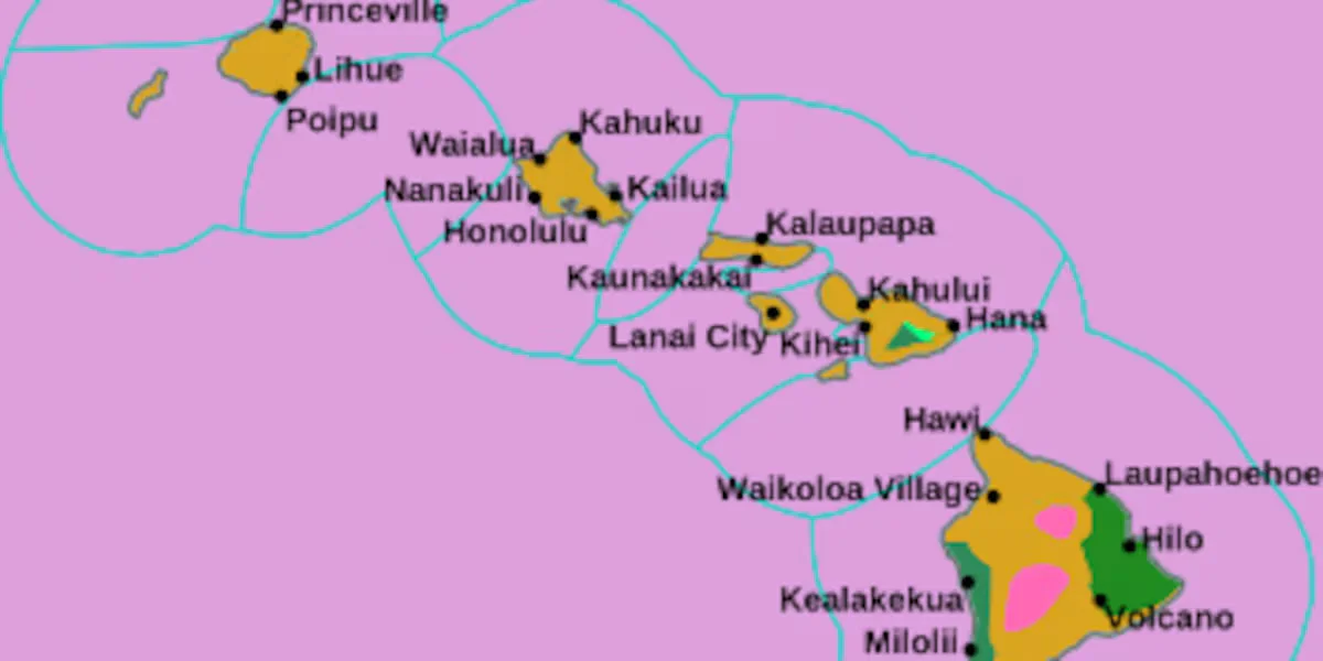 1770655476261_3PRQGFKU7RGRBNONTG3M3YL3JQ