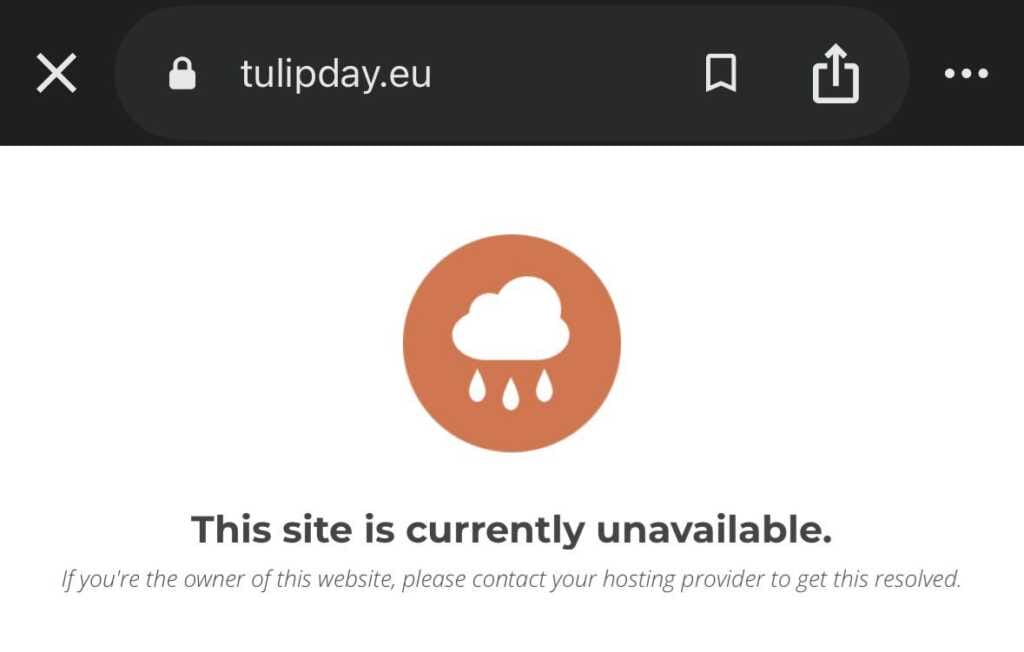 1772471867211_tulp day