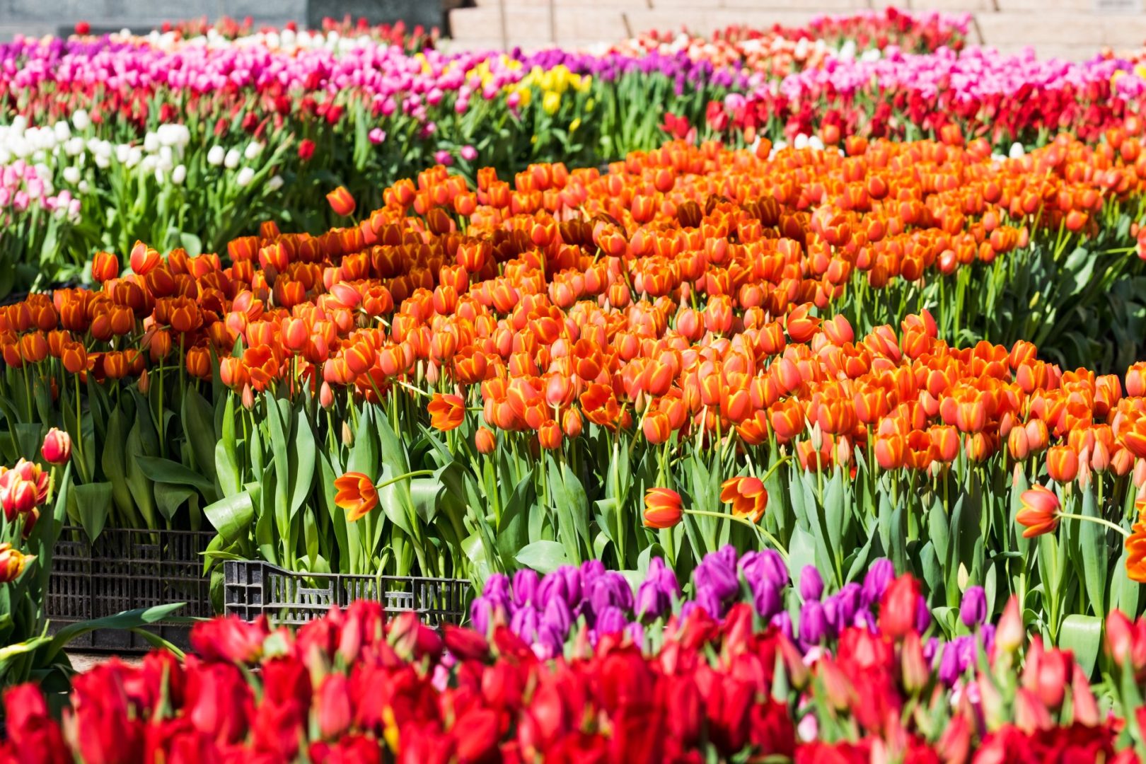 1772471867324_shutterstock_1040692273 scaled