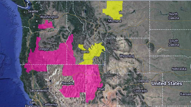 Understanding Fire Weather Watches: How These Critical Alerts Work