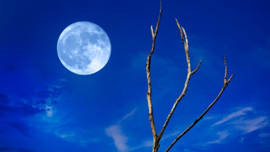 1780497063418_moon blue