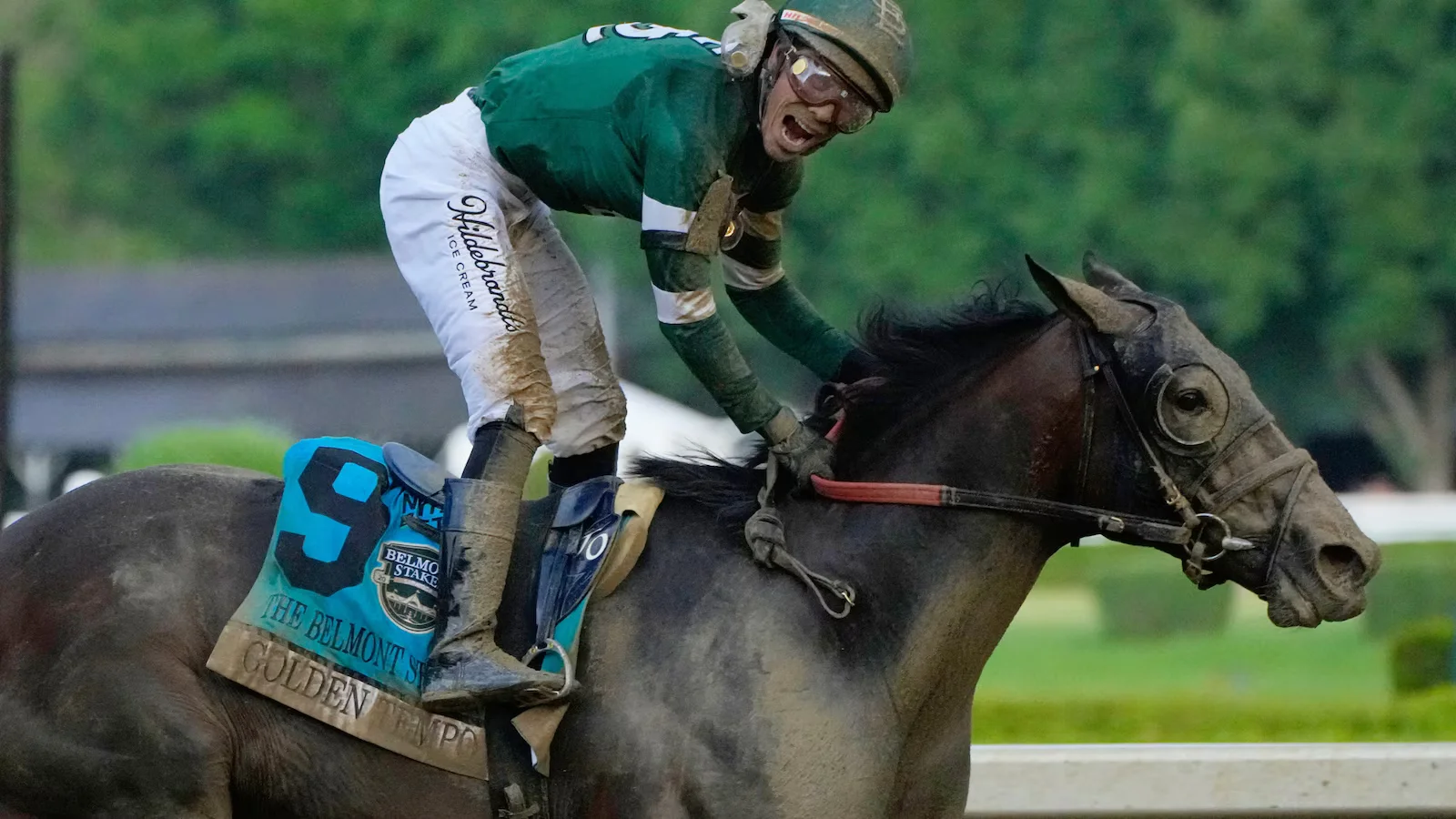 What Is the Belmont Stakes? History, Distance, and 2026 Winner Explained
