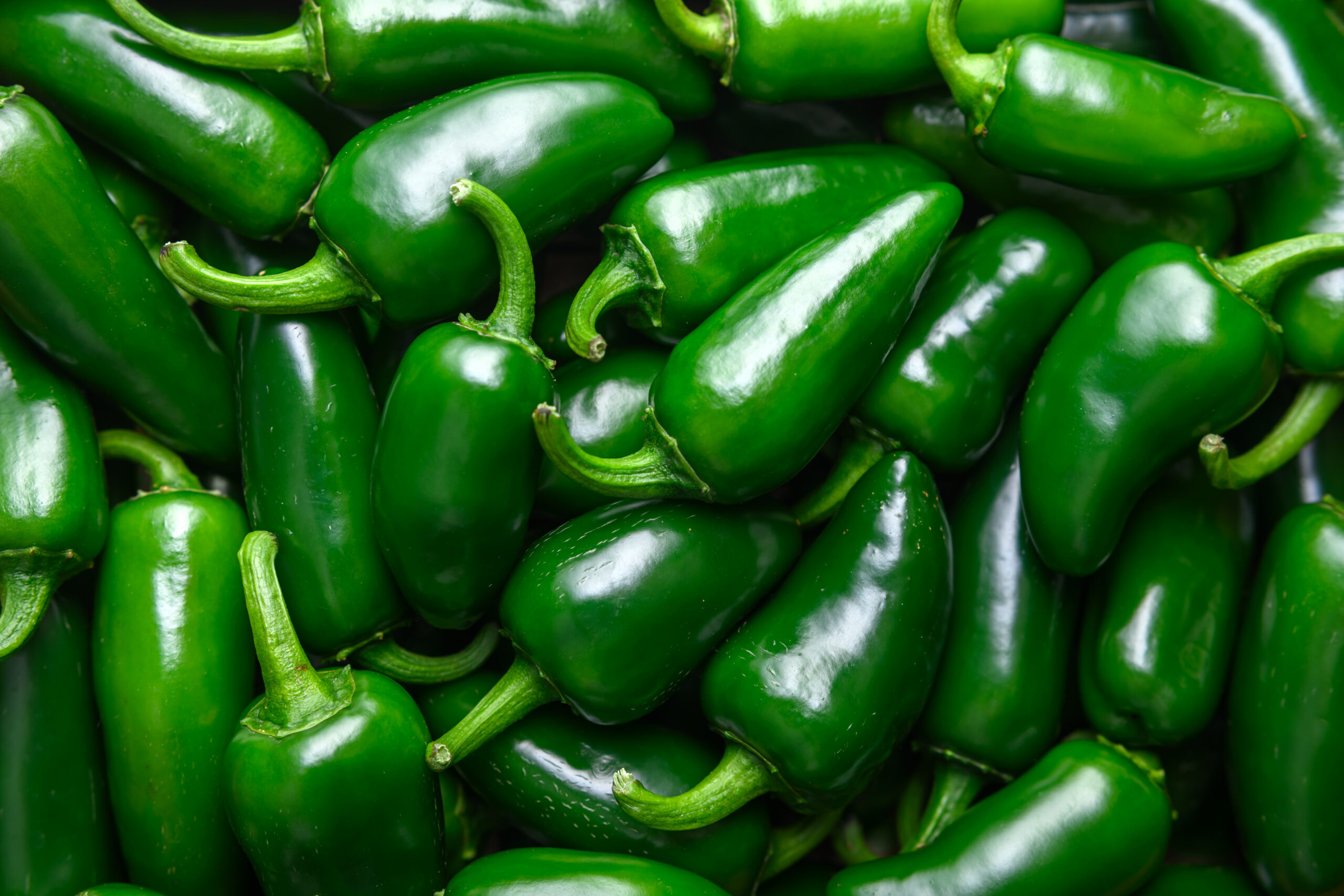 Taylor Farms Jalapeño Recall: Salmonella Explained