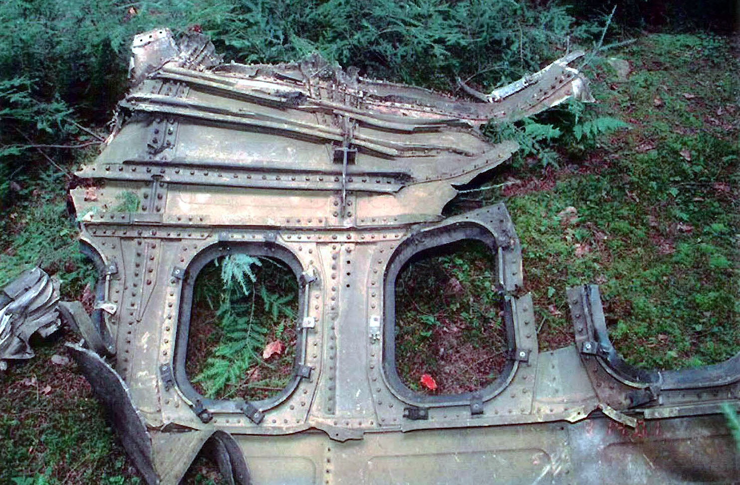 1789224812381_UA93_fuselage_debris_ 28slight_cropped 29