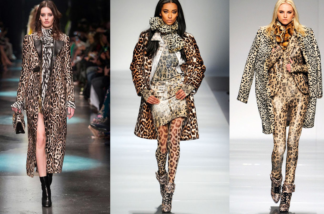 1793205351628_Leopard Print header Lapolo